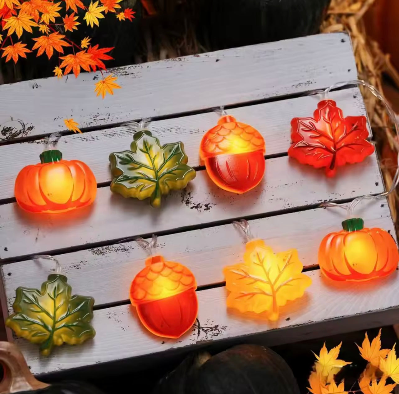 LED Autumn String Lights